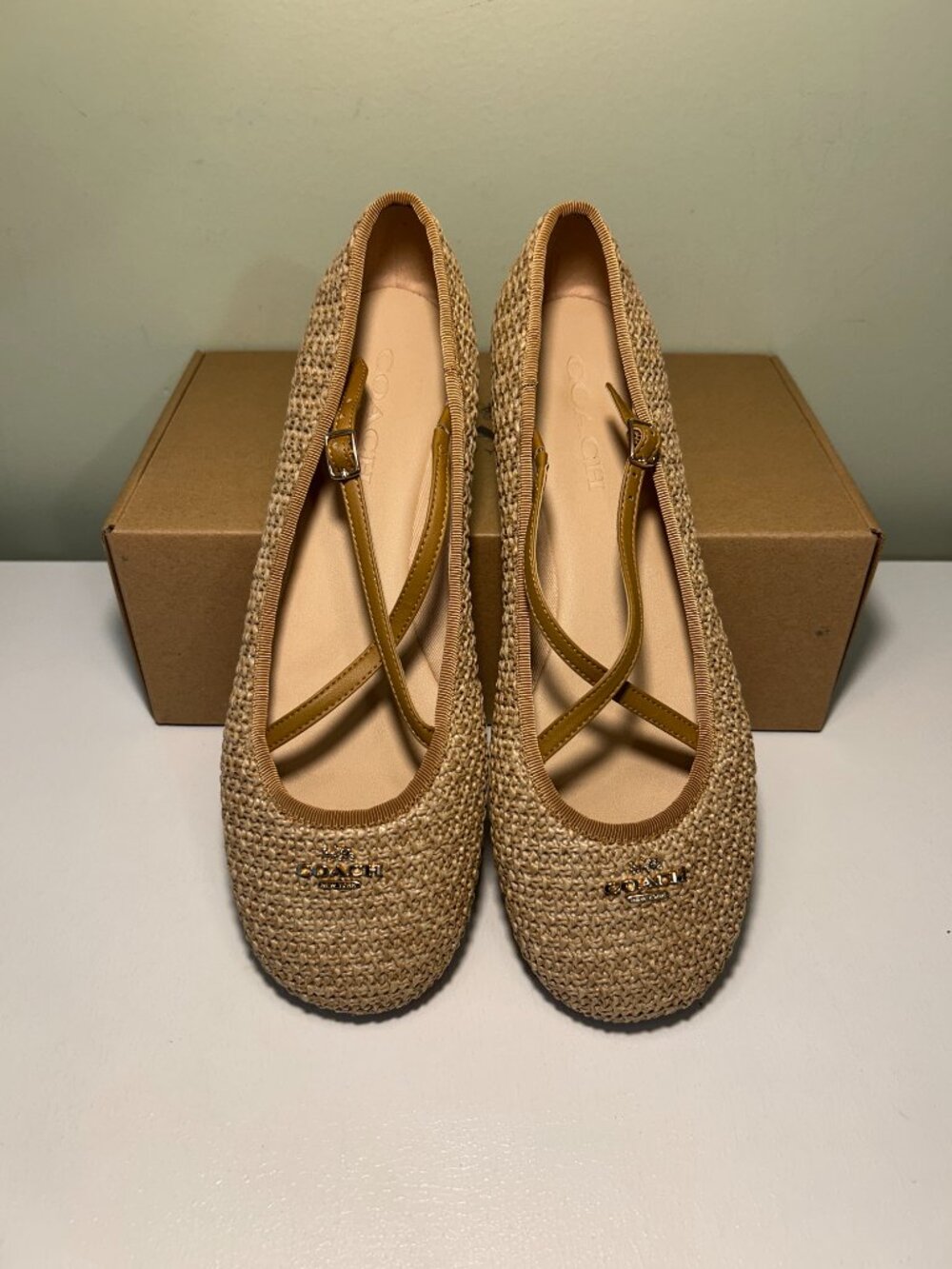 Coach Women's Phoebe Raffia Ballet Flat